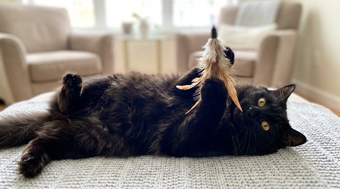 Snímek obrazovky 2026-02-04 121535